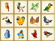 Play Birds Board Puzzles