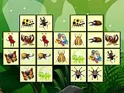 Play Connect The Insects