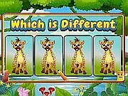Play Which Is Different Animal