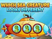 Play Which Sea Creature Looks Different